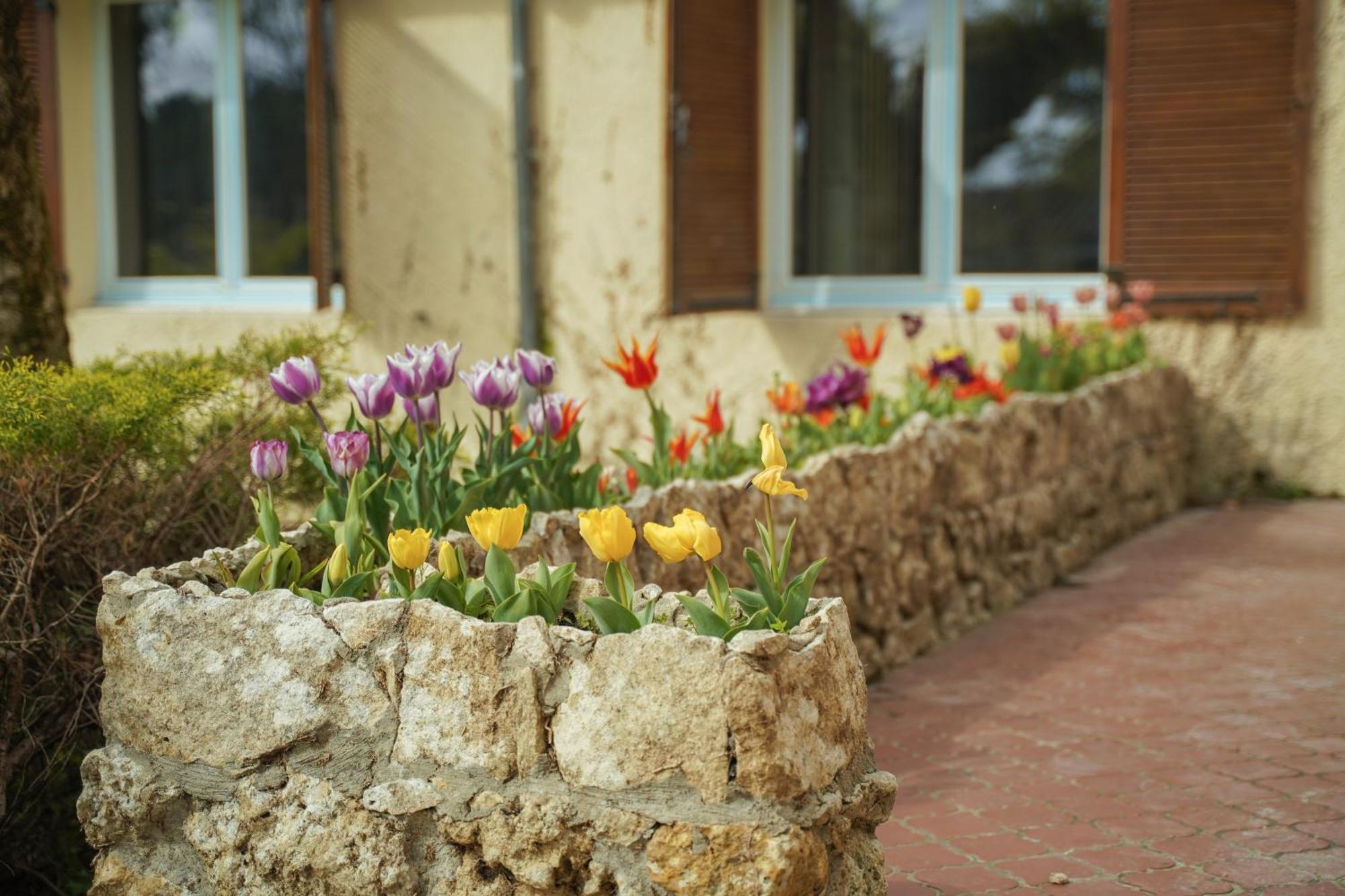 Chateau Eck Bed & Breakfast Cadaujac Exterior photo